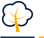 Shield icon by Icons8